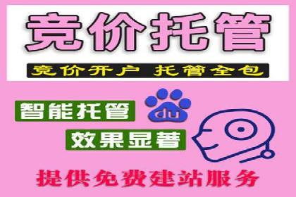 SEM推广实战：成功案例解读与策略调整